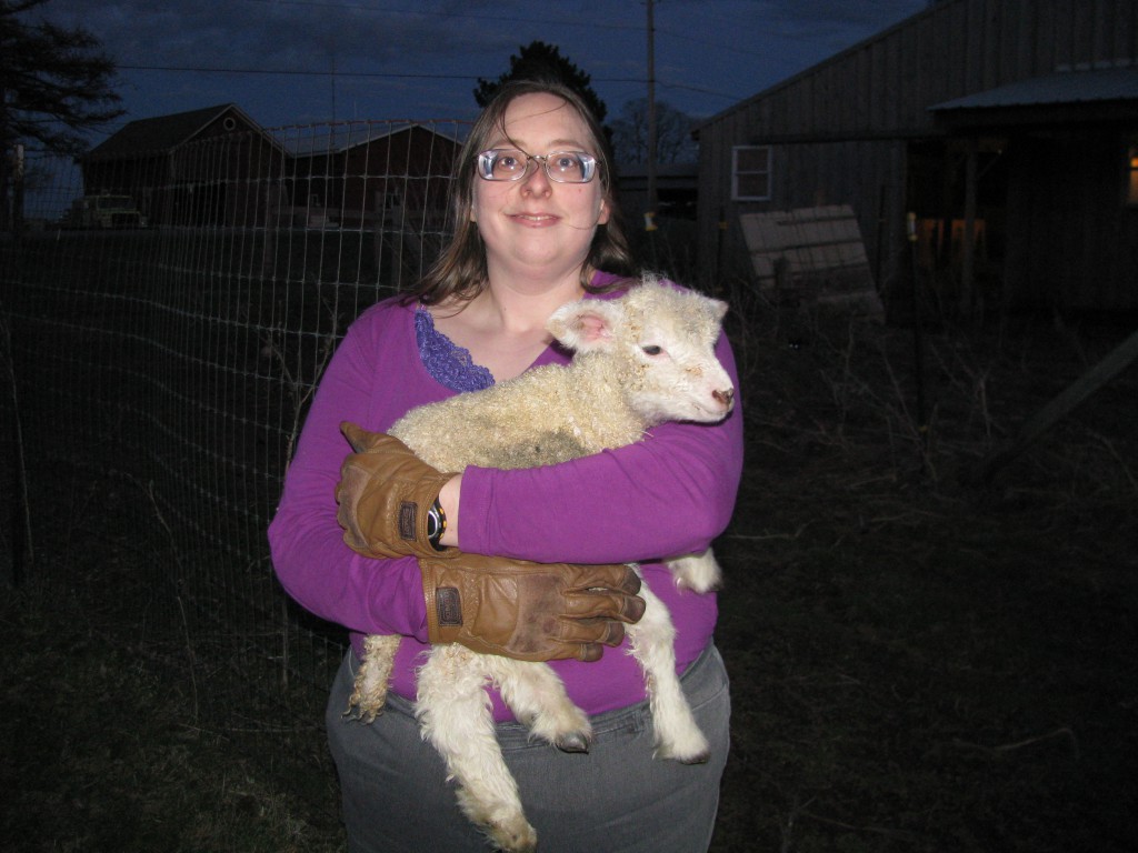 Carrying a Lamb